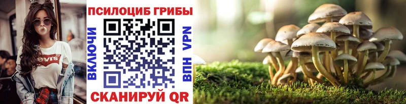 где купить наркоту  Завитинск  KRAKEN зеркало  Галлюциногенные грибы MAGIC MUSHROOMS 